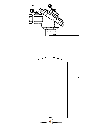 WZP-221T衛生型卡盤裝配式熱電阻安裝圖片
